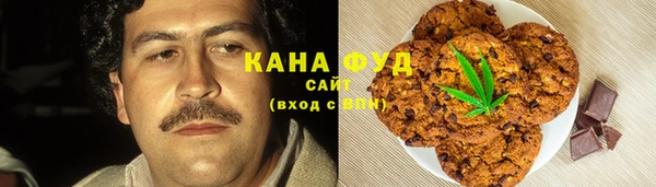молекула духа Богданович