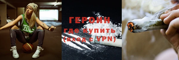 молекула духа Богданович
