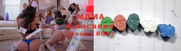 молекула духа Богданович