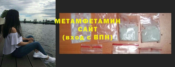 молекула духа Богданович