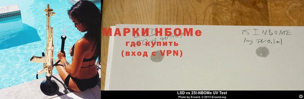 молекула духа Богданович