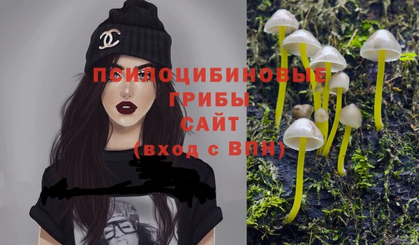 героин Богородицк