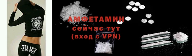 молекула духа Богданович