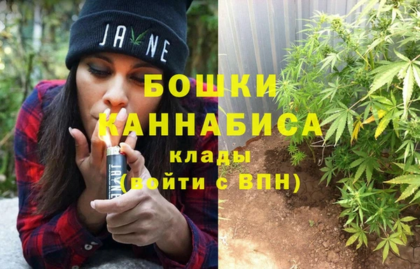 молекула духа Богданович