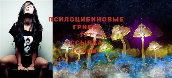 молекула духа Богданович