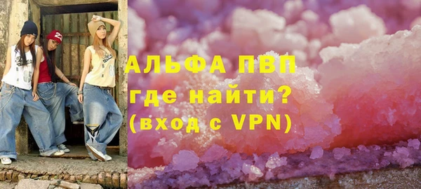 молекула духа Богданович
