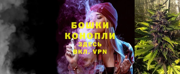 молекула духа Богданович