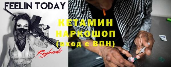молекула духа Богданович